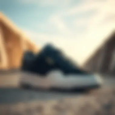 Magnificent Exploring Etnies Trainers: A Pinnacle of Skateboarding Footwear