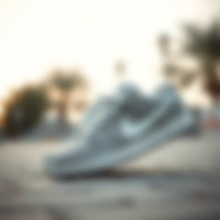 Magnificent The Influence of Grey Nike SBs in Skateboarding Culture