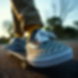 A Comprehensive Exploration of Vans Slip Proof Shoes Introduction
