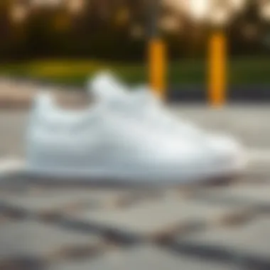 Adidas Superstar: The Iconic Black and White Model Summary Adidas Superstar: The Iconic Black and White Model Summary