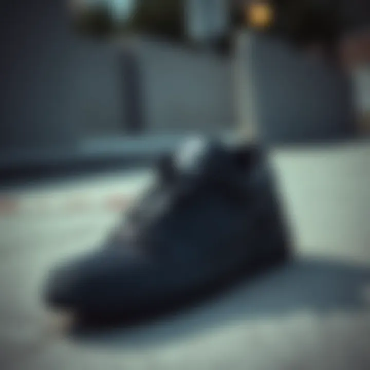 Stylish Black Nike Skateboard Shoes Stylish black Nike skateboard shoes on a concrete surface