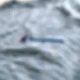 Champion Reverse Weave T-Shirt showcasing its unique fabric texture