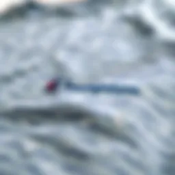 Champion Reverse Weave T-Shirt showcasing its unique fabric texture