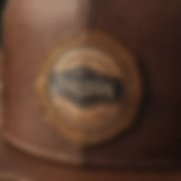 Close-up of the intricate stitching and design of a brown snap back cap.