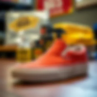 Visual representation of care products for maintaining Coral Slip-On Vans