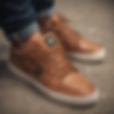 Collection of notable brown Etnies shoe models