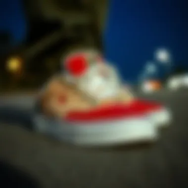 Stylish Etnies wide shoes designed for skateboarding