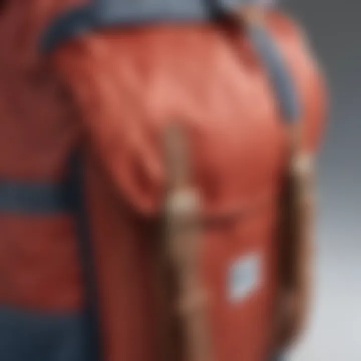 Close-up view of the Herschel Packable Backpack's features and design