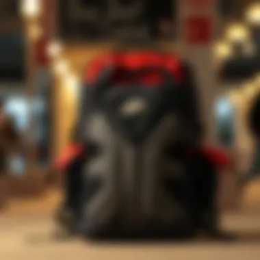 Backpack features and specifications