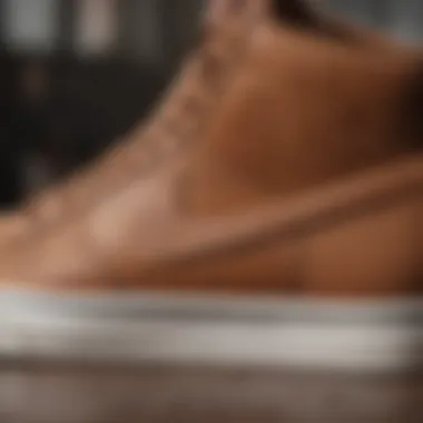 Close-up of Nike SB Brown shoe detailing