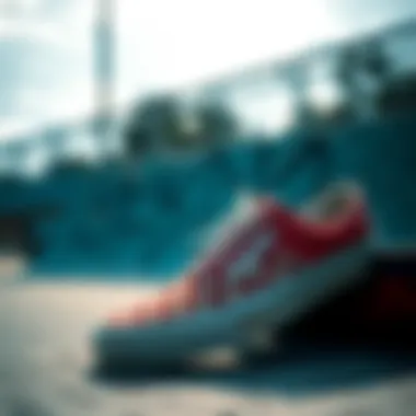 An artistically captured view of Vans in a skate park setting