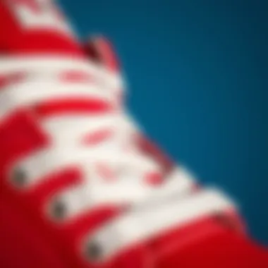 Material Composition of DC Shoes Close-up of the material and design of DC shoes