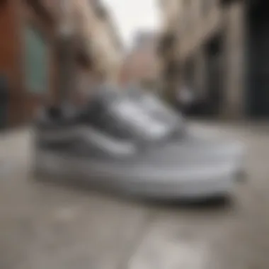 Exploring the Aesthetic and Functionality of Vans SK8 Low Gray Summary