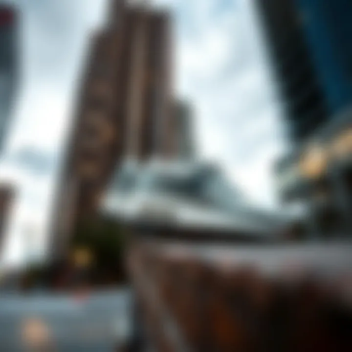 Urban Aesthetics and the Janoski Air Max An artistic representation of the Janoski Air Max within an urban landscape, symbolizing its impact on design aesthetics.