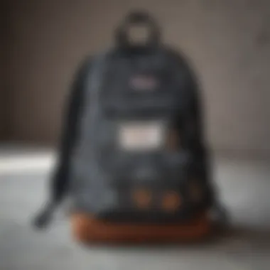 Close-up of Jansport Half Pint's design features