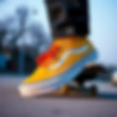 Exploring the Most Comfortable Vans for Skateboarding Enthusiasts Summary