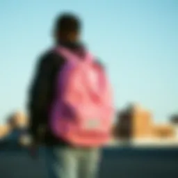 Exploring the Vans Pink Mini Backpack: A Perfect Blend of Style and Functionality Introduction