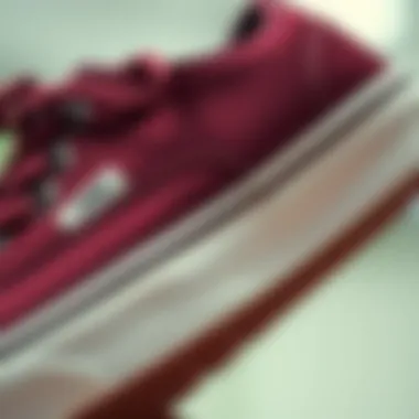 Close-up of the Vans UltraRange Burgundy's comfort features