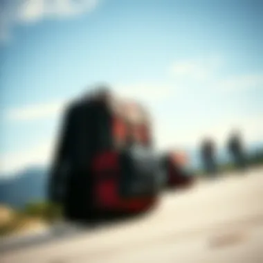 Exploring the World of Crazy Backpacks Summary