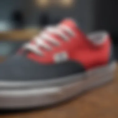 Close-up of materials used in Vans Authentic Low Pro