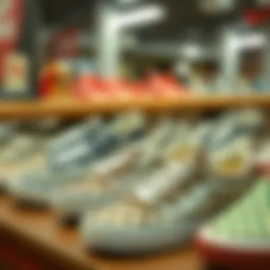 Historical Display of Checkered Slip-On Sneakers A historical display of different styles of checkered slip-on sneakers over the years