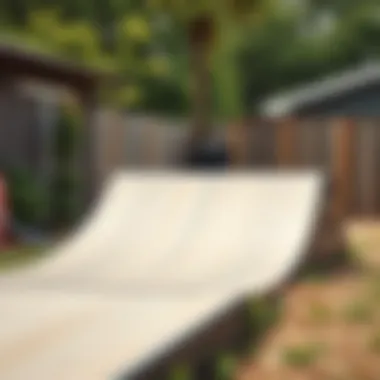 Well-Maintained Skate Ramp in Backyard A well-maintained skate ramp in a backyard setting, illustrating the importance of upkeep and safety.