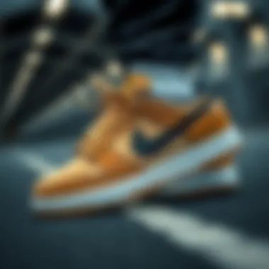 Nike SB 58 Compared to Other Models Comparison of Nike SB 58 with other popular skate shoe models