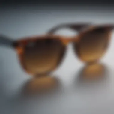 Ray-Ban Round Wayfarer sunglasses displayed with various lens options