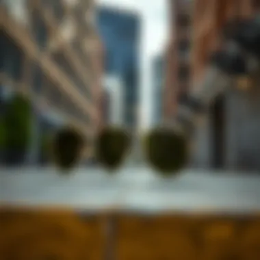 Ray-Ban Nomad Legend Gold sunglasses on a stylish urban backdrop