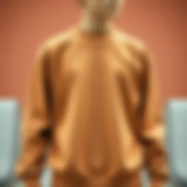 The Brown Crew Neck Sweatshirt: An Examination of Its Fabric, Functionality, and Influence in Skate Culture Summary