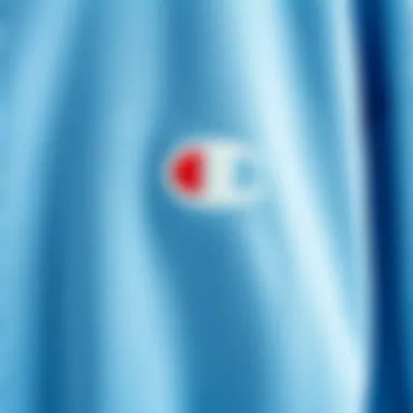 Fabric Texture of the Champion Sweater Close-up of the fabric texture of the light blue Champion sweater