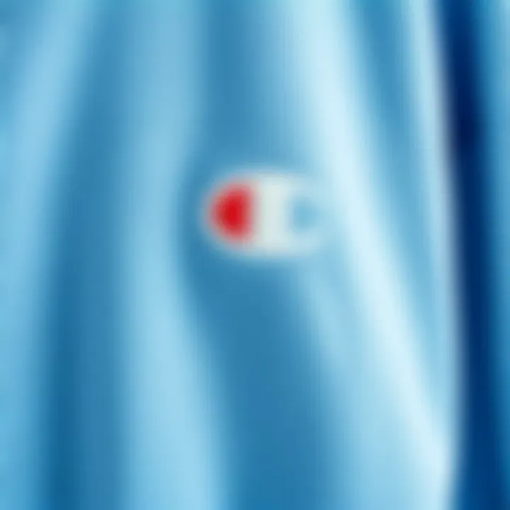 Fabric Texture of the Champion Sweater Close-up of the fabric texture of the light blue Champion sweater