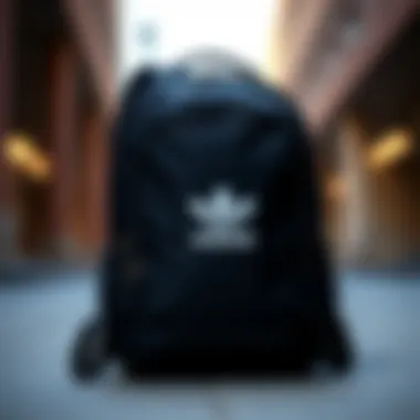 Sleek Design of the Mini Black Adidas Backpack Stylish mini black Adidas backpack showcasing its sleek design