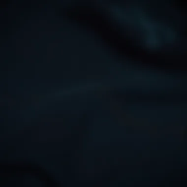 Close-up view of Tilly's black hoodie showcasing its fabric texture