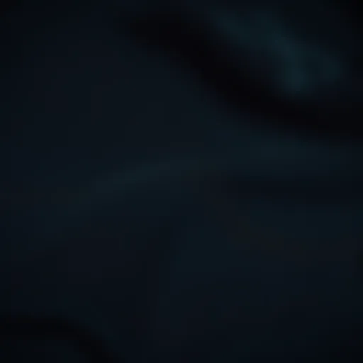 Close-up view of Tilly's black hoodie showcasing its fabric texture