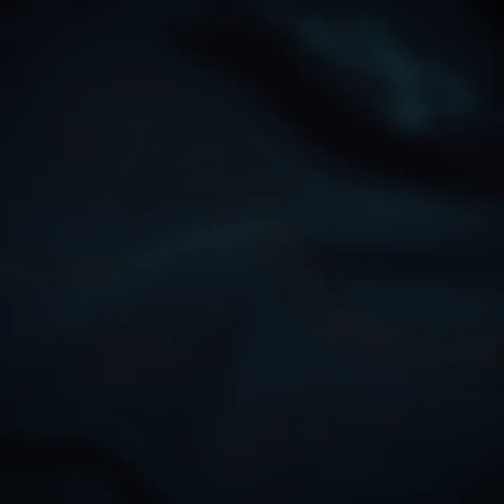 Close-up view of Tilly's black hoodie showcasing its fabric texture