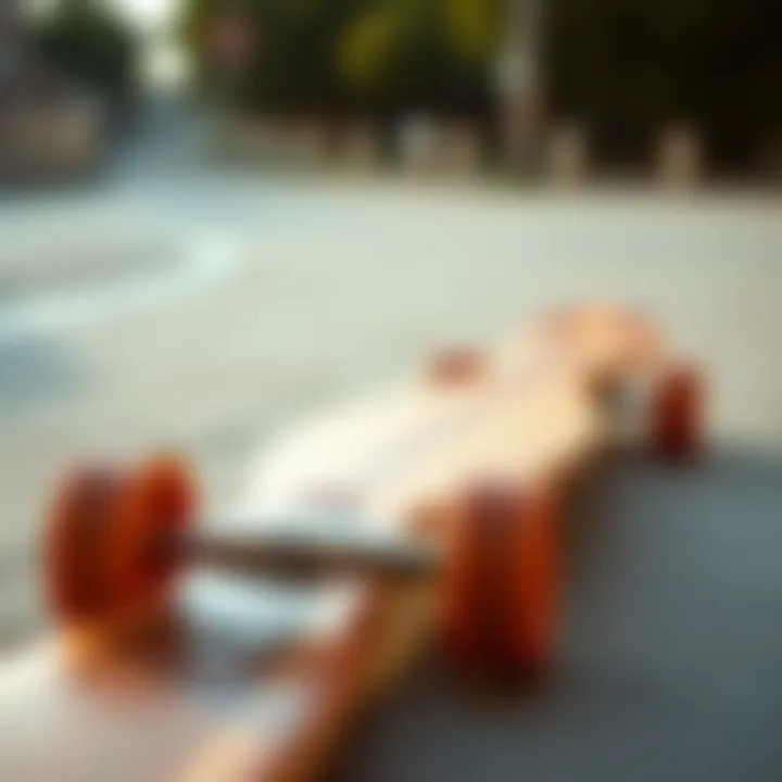 Elegant design showcasing the unique curves of an Arbor skateboard cruiser