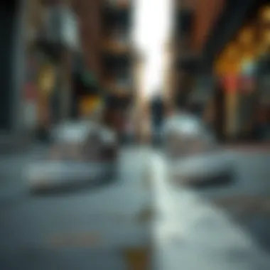 Vans animal print slip-ons on urban street