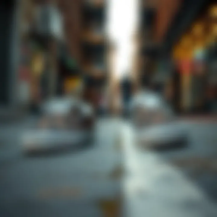 Vans animal print slip-ons on urban street