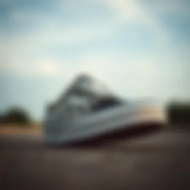 Vans Skate Authentic showcasing unique design elements