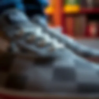 Detailed View of Vans Slip-On Pro Materials Close-up of the unique materials used in Vans Slip-On Pro